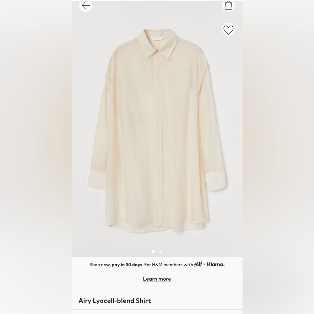 H&M Sheer Button Up